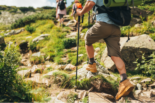 hikes on hiking trail