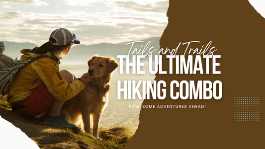 Paws on the Path: Your Dog’s Hiking Game Plan